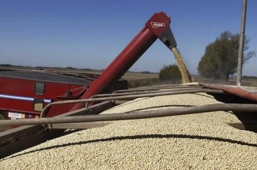 El dato sobresaliente para La Pampa fue la evolución interanual