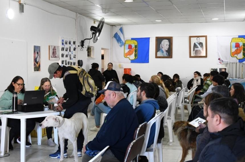 Se realizaron 120 castraciones junto a la Fundación Vidanimal