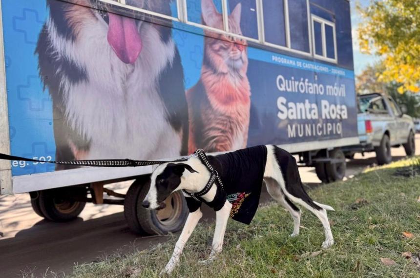 El quirófano móvil estuvo en el barrio San Cayetano