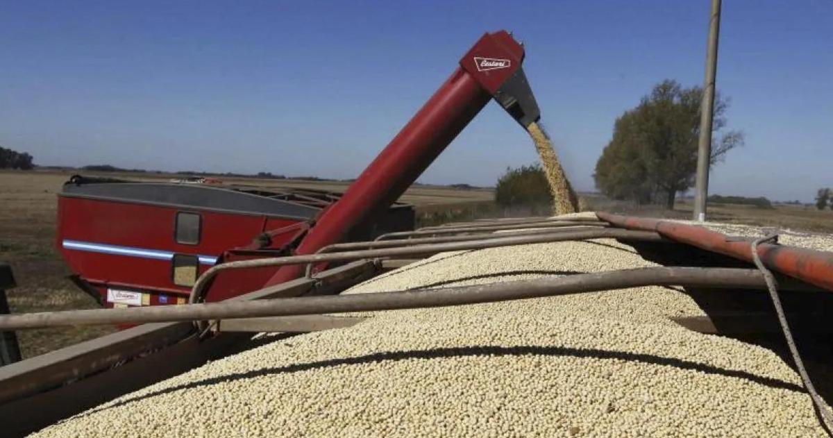 El dato sobresaliente para La Pampa fue la evolución interanual