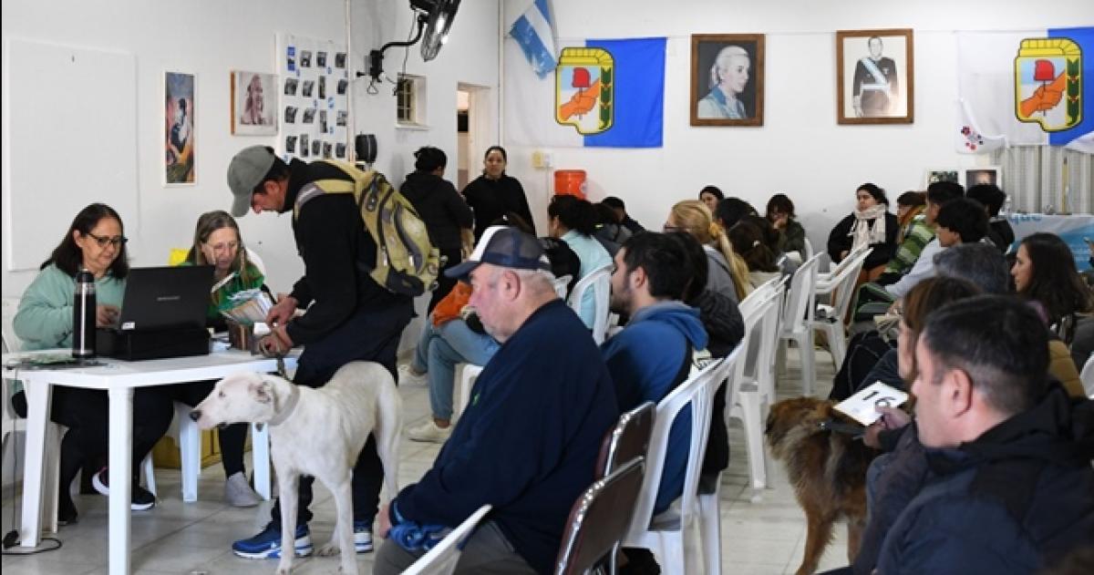 Se realizaron 120 castraciones junto a la Fundación Vidanimal