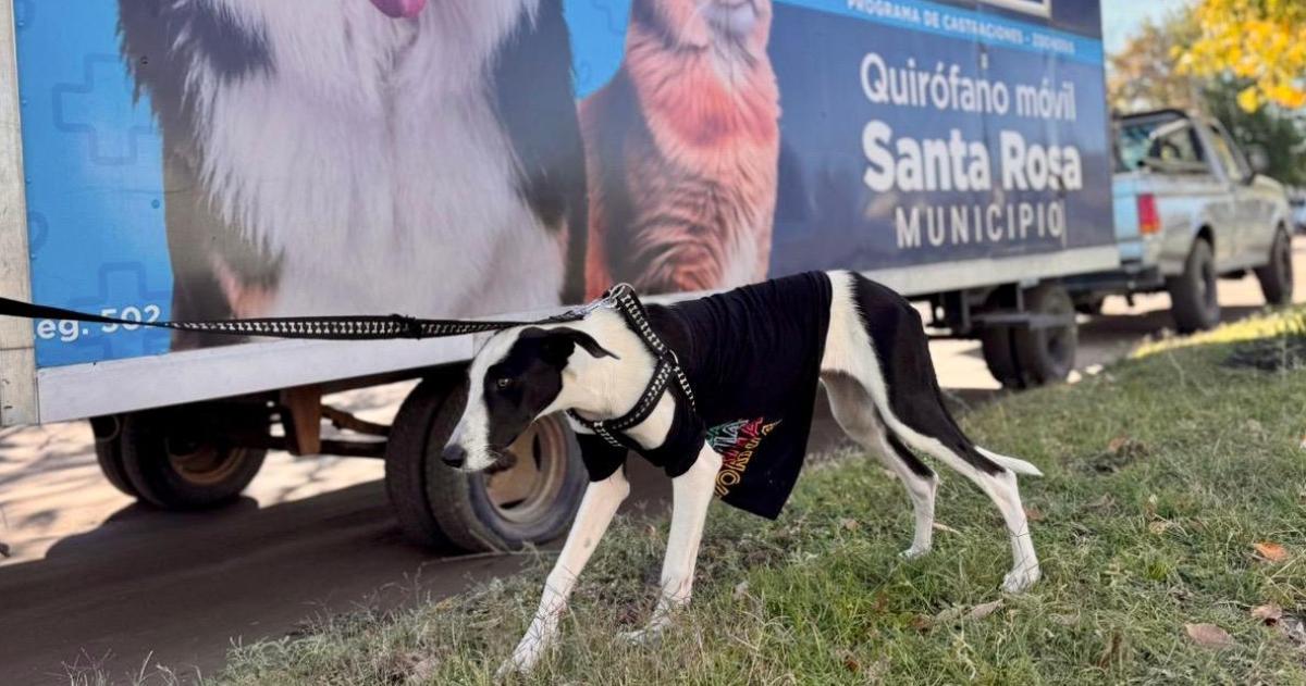 El quirófano móvil estuvo en el barrio San Cayetano