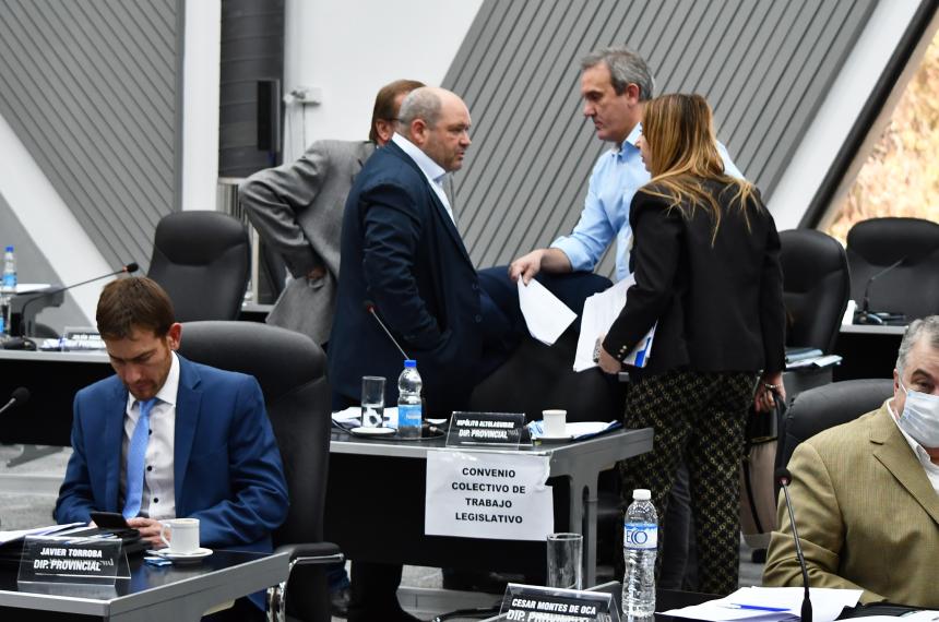 La falta de consenso en la Legislatura impidió avanzar con la inciativa