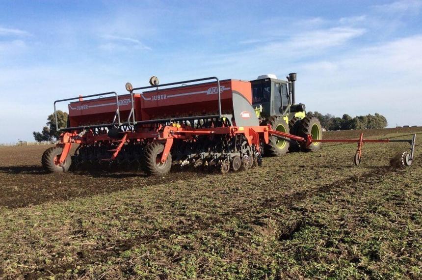 La siembra de trigo en la Pampa argentina es mucho m�s que un acto agronómico