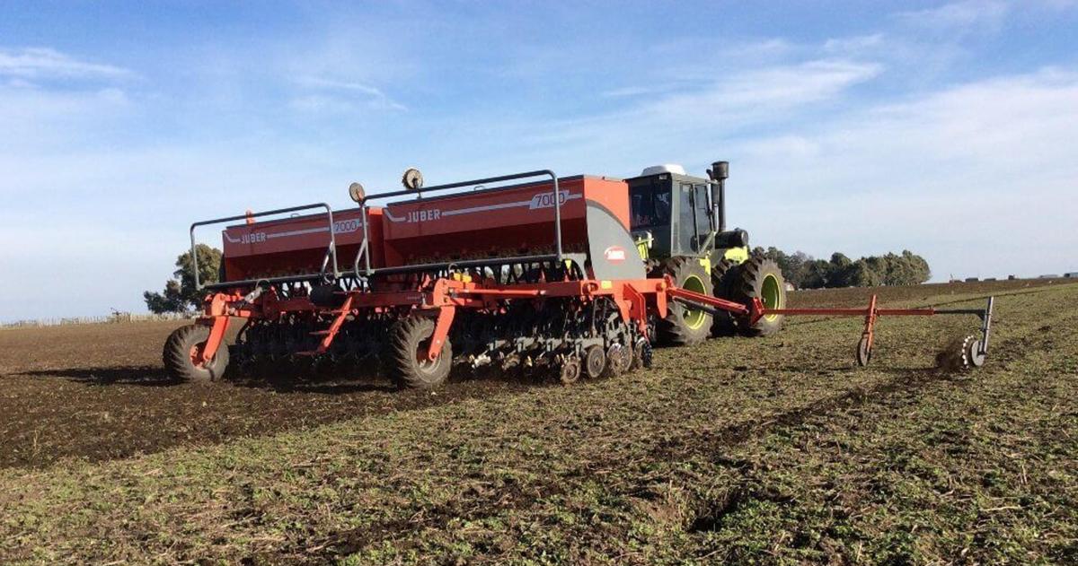 La siembra de trigo en la Pampa argentina es mucho m�s que un acto agronómico