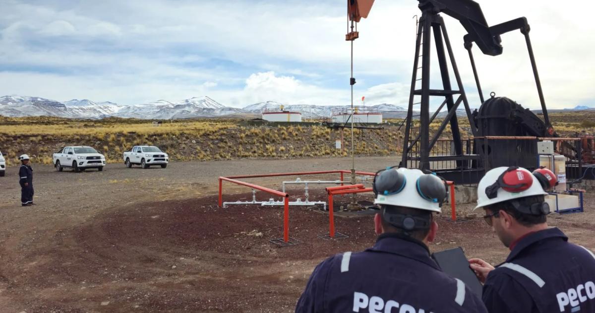 El Grupo Pérez Companc a través de Pecom adquirió cuatro �reas petroleras en Mendoza y La Pampa