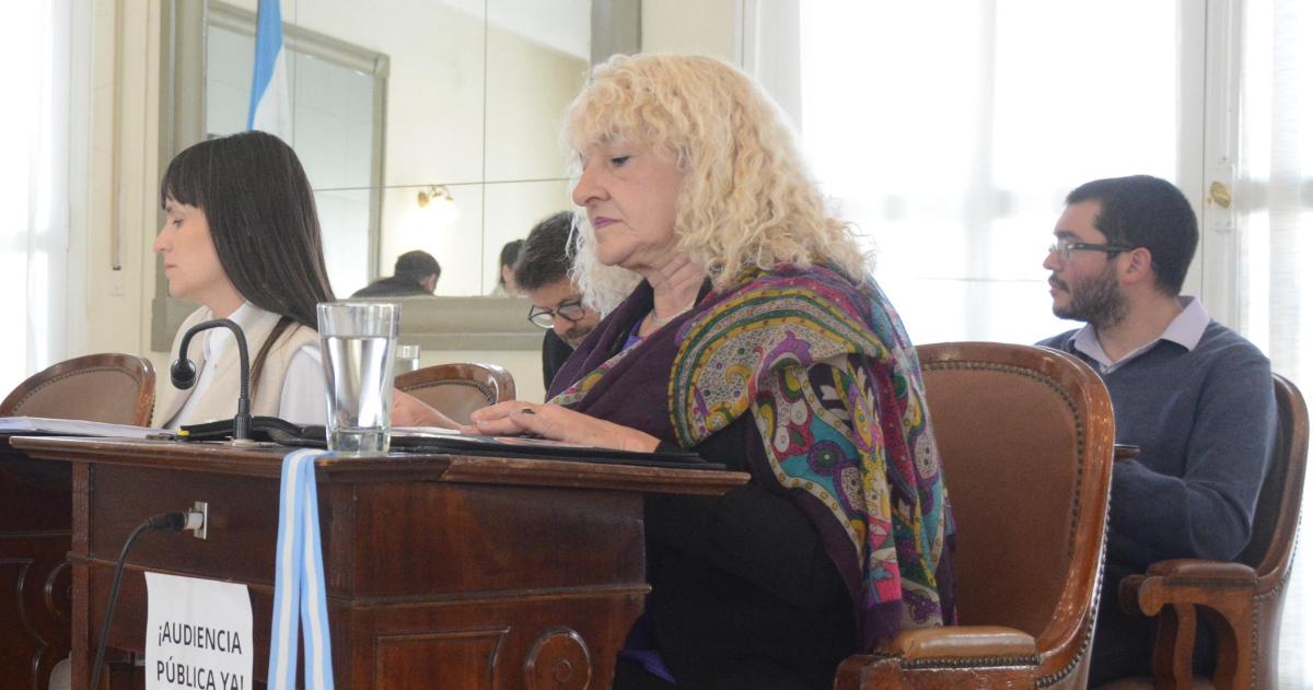 El bloque de la UCR llevó varios planteos a las comisiones del Concejo Deliberante