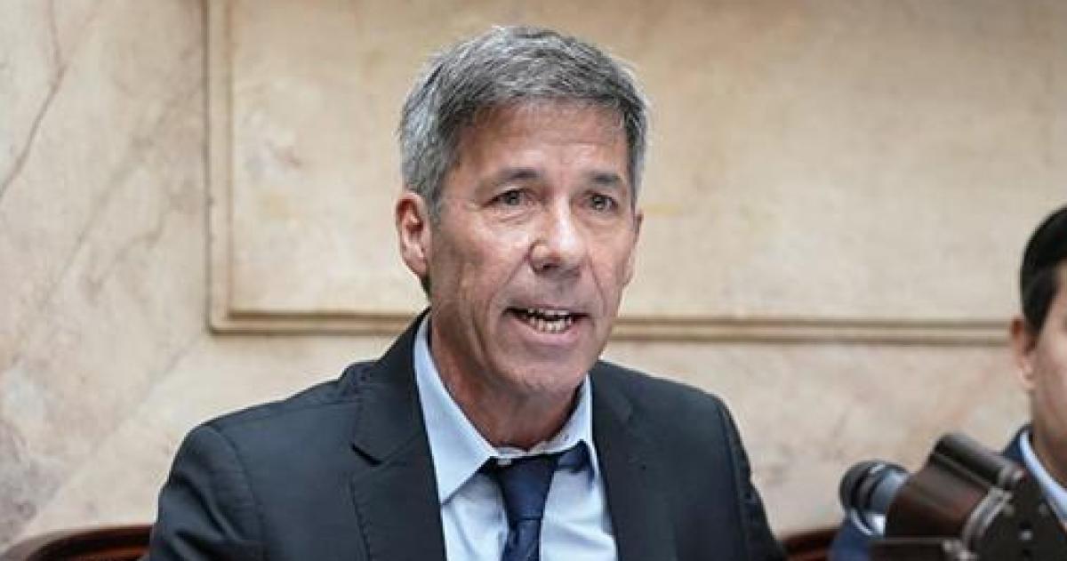 El diputado nacional Martín Ardohain
