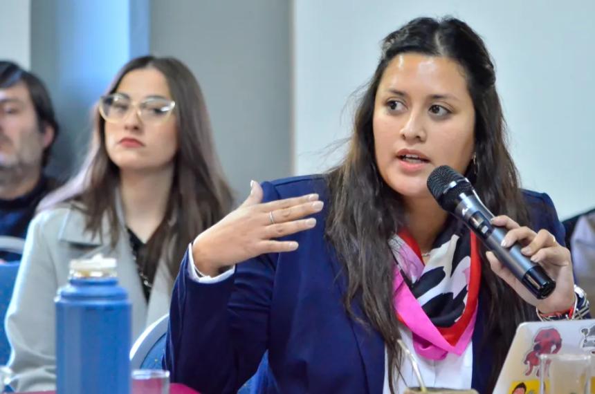 La diputada del PRO insiste con un proyecto que no se trató en la Legislatura