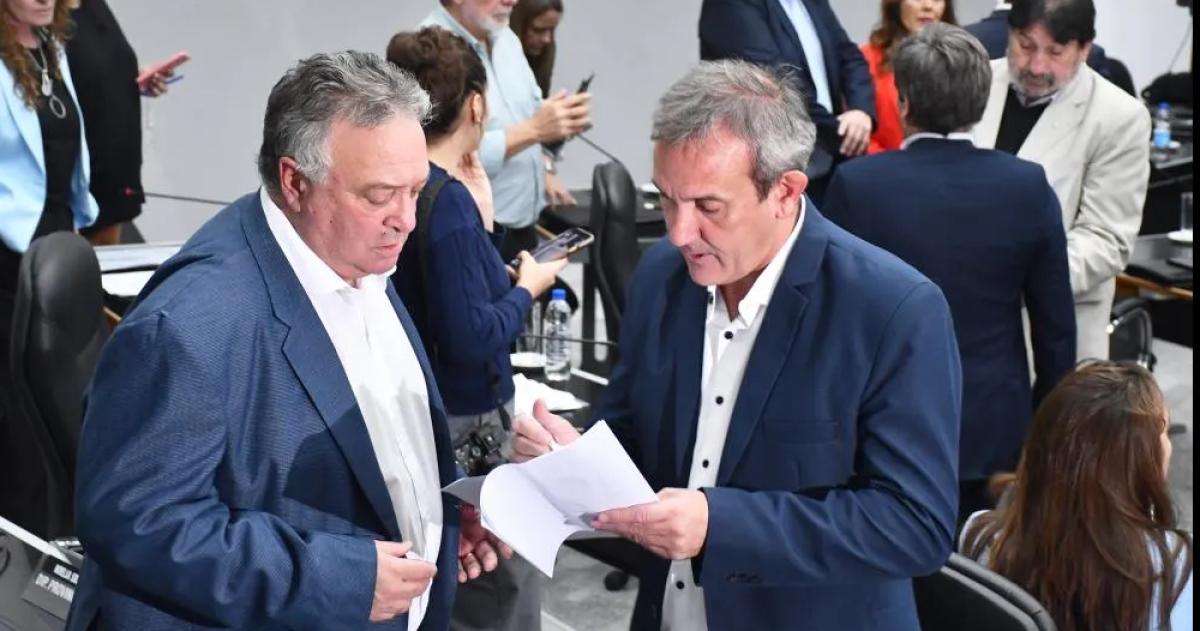 Altolaguirre señaló que oficialismo y oposición cedieron para acordar Medanito