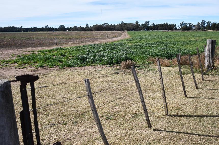 El campito de los Matzkin que pretenden dividir en m�s de 300 lotes