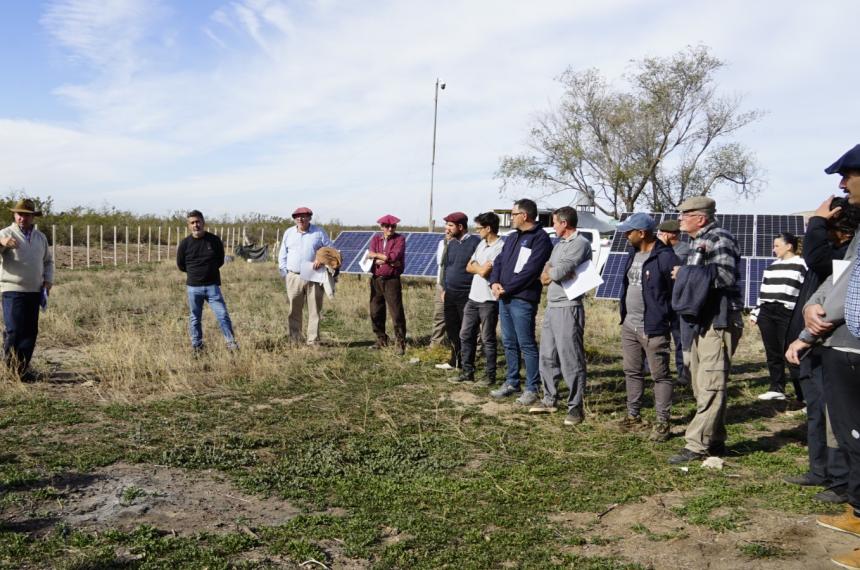 La jornada se hizo con la idea de detectar problemas y buscar soluciones