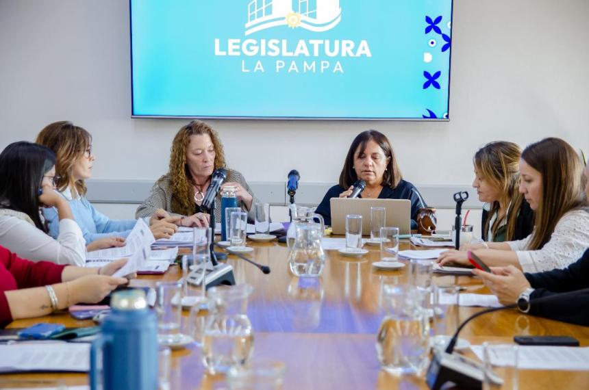 La comisión de Legislación Social presidida por la diputada Laura Trapaglia (PRO)