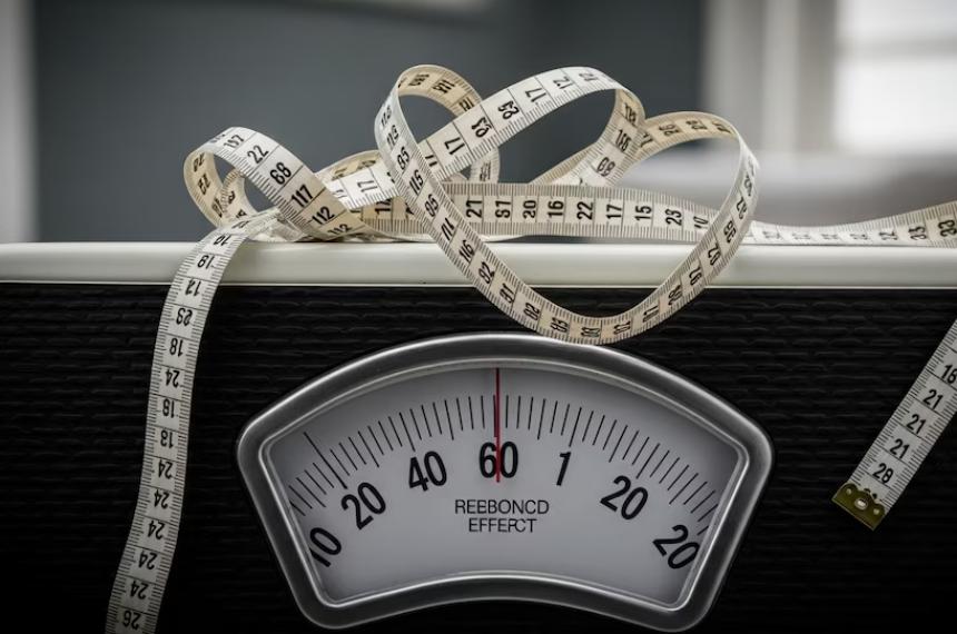El estudio del UT Southwestern Medical Center demuestra que la memoria biológica del peso impulsa el efecto rebote en la obesidad