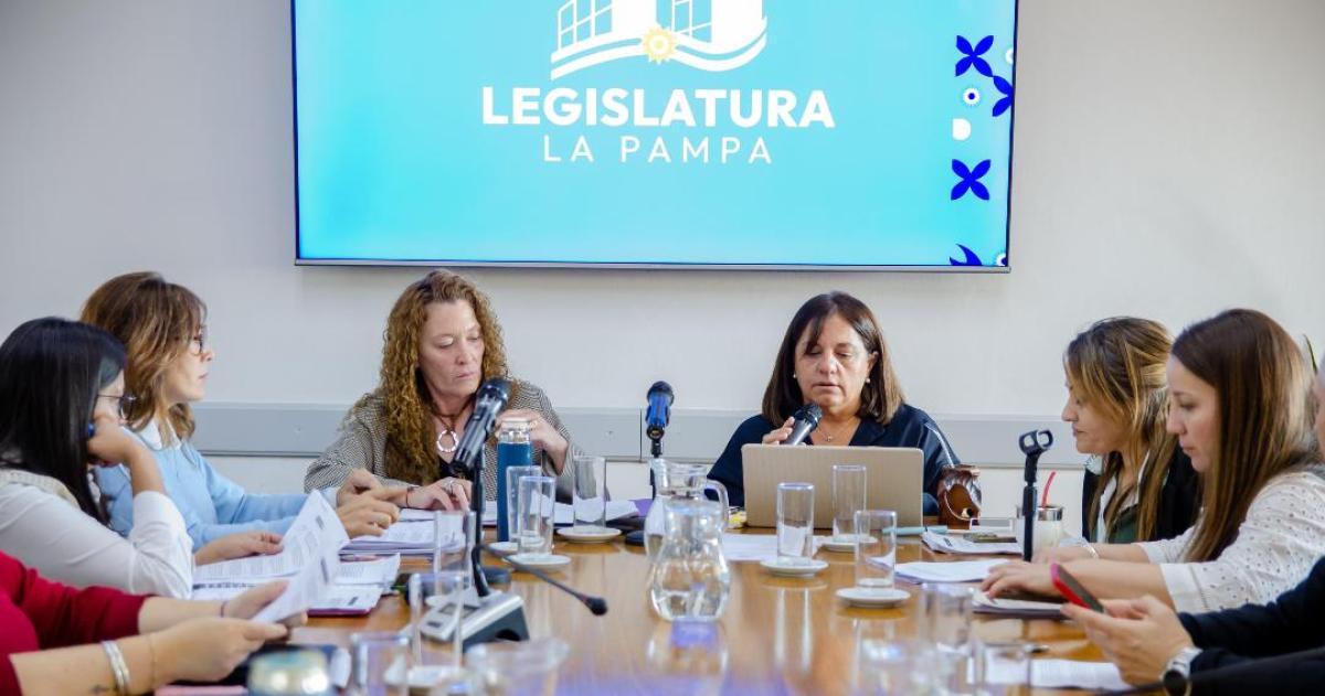 La comisión de Legislación Social presidida por la diputada Laura Trapaglia (PRO)