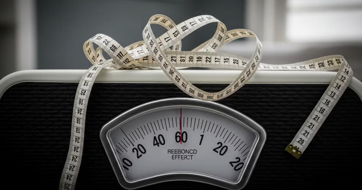 El estudio del UT Southwestern Medical Center demuestra que la memoria biológica del peso impulsa el efecto rebote en la obesidad