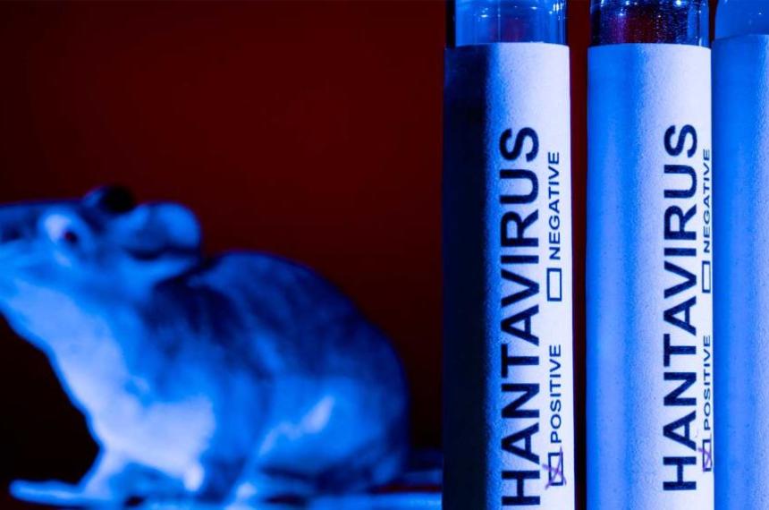 Alerta por hantavirus en Argentina- suben los casos y crece la preocupación por el brote del crucero