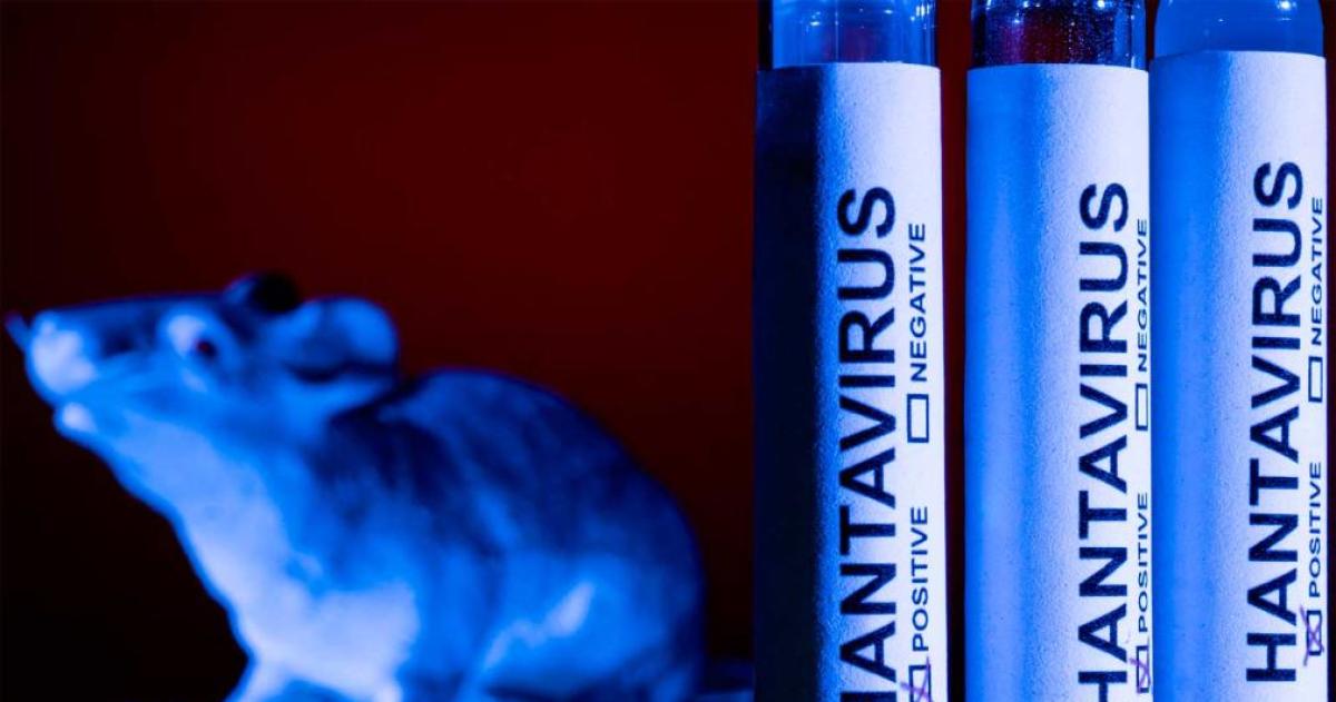Alerta por hantavirus en Argentina- suben los casos y crece la preocupación por el brote del crucero
