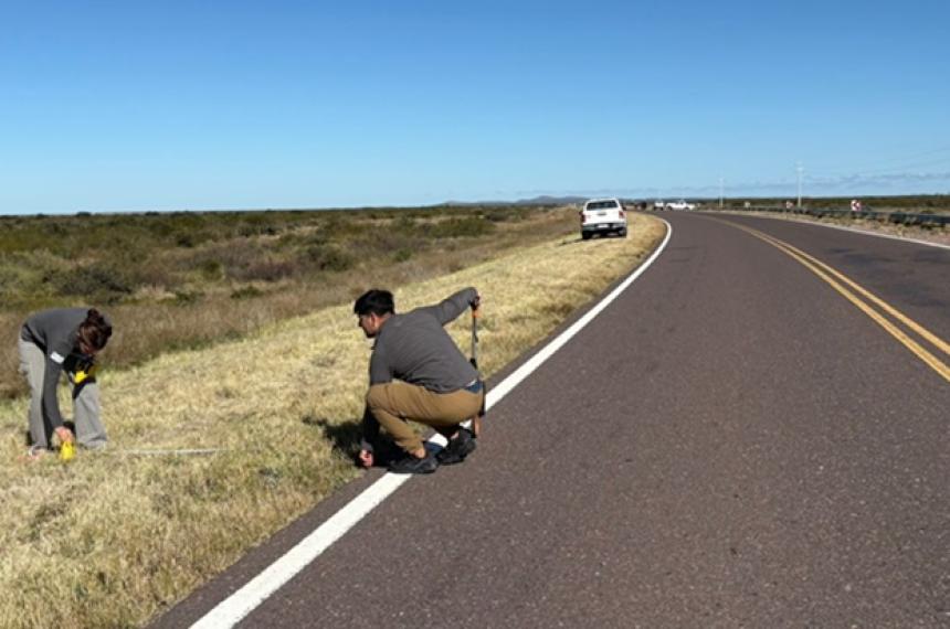El vuelco ocurrió en marzo de 2025 sobre la Ruta 151