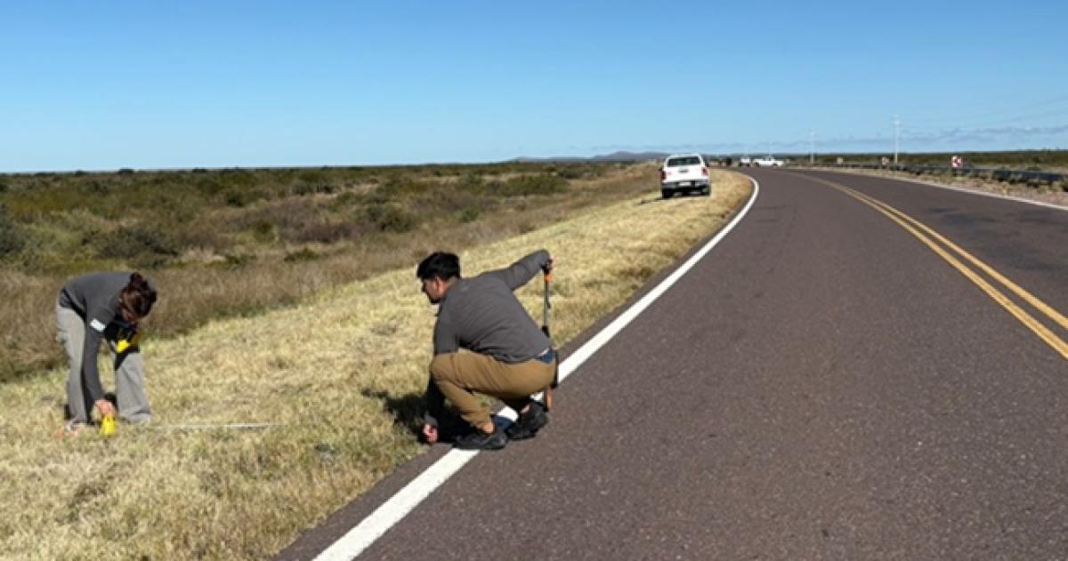 El vuelco ocurrió en marzo de 2025 sobre la Ruta 151