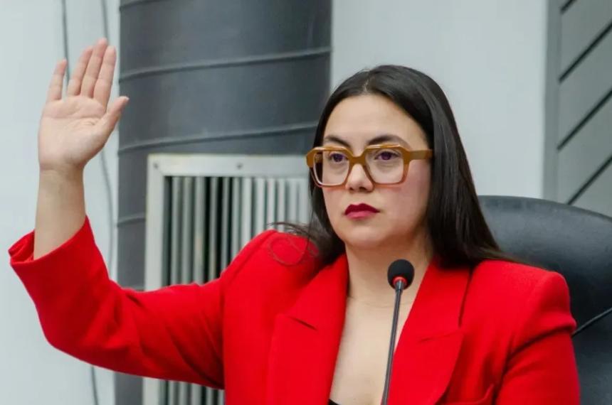 La diputada Noelia Sosa recargada contra la Secretaría de Energía