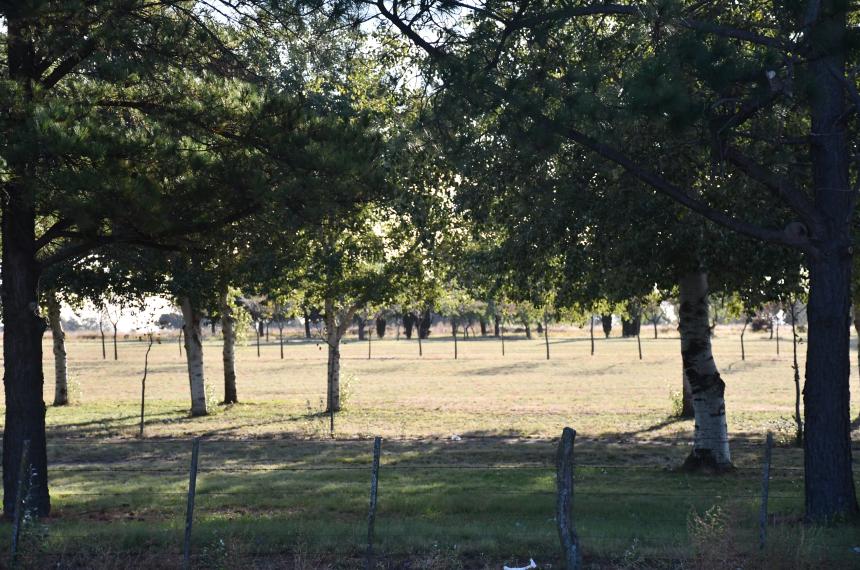 La zona de la Ruta 5 entre el cuidado del agua y los avances en la urbvanización