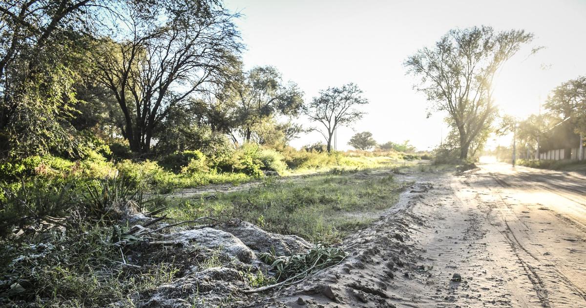 Para el resto del día se espera una mañana ligeramente nublada y una temperatura m�xima de 15 °C
