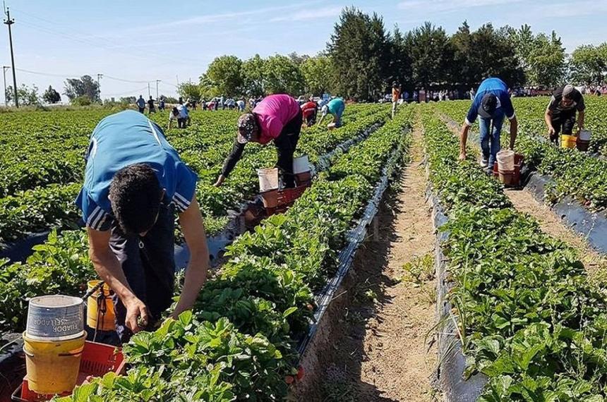 M�s del 60-en-porciento- de los empleados rurales trabajan en negro dice UATRE