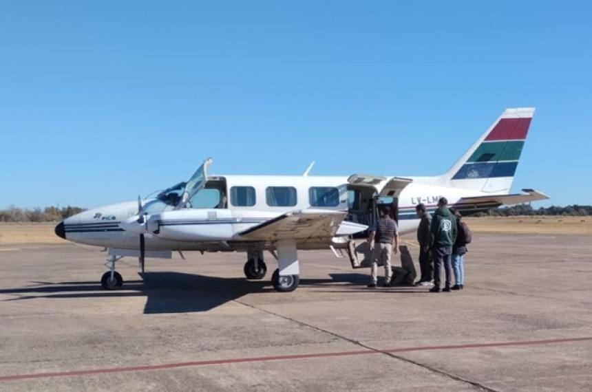 La mujer herida fue trasladada en el avión sanitario de Pico