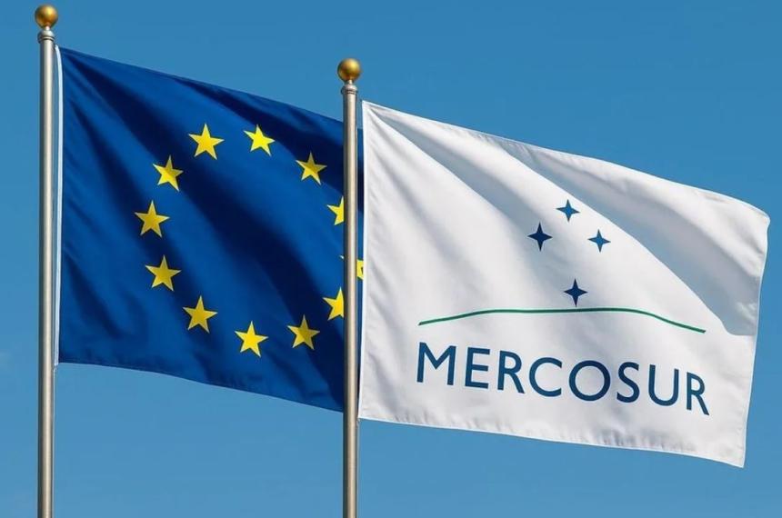 Argentina completó el cupo exportador de huevos y de la miel
