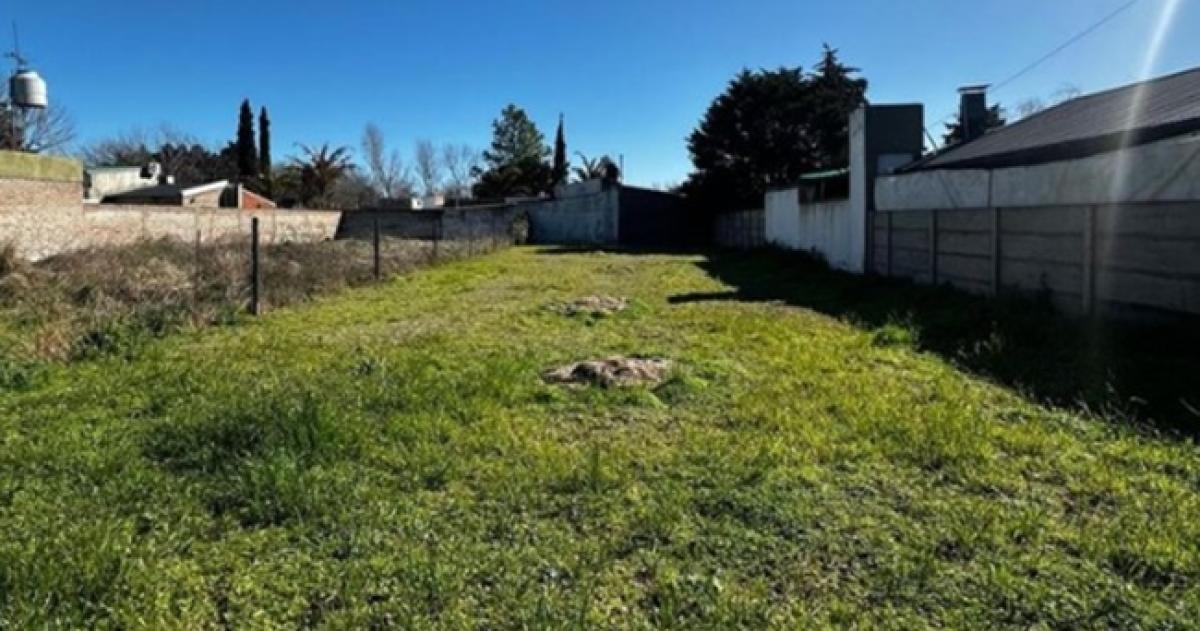 El municipio de Acha puso a la venta 23 lotes en distintos puntos de la localidad