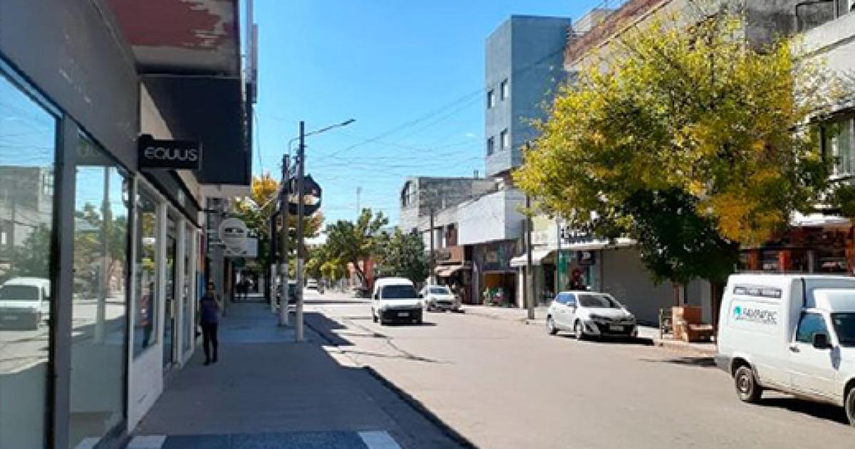 En Santa Rosa persiste la pr�ctica de arrasar con los �rboles para despejar las vidrieras de los comercios