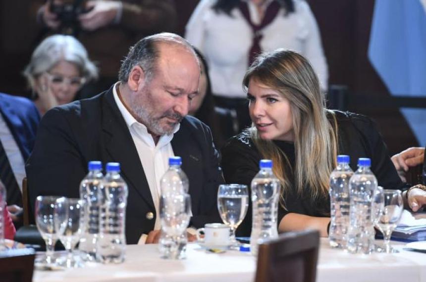 El proyecto que deja sin subsidio de gas a pampeanos y pampeanas se tratar� ahora en el Senado