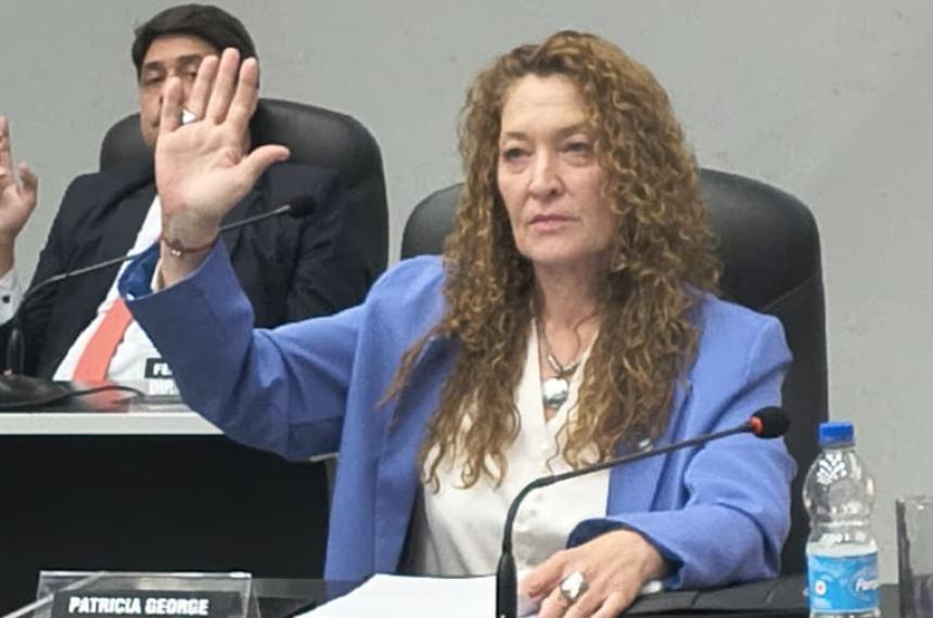 La diputada provincial Patricia George
