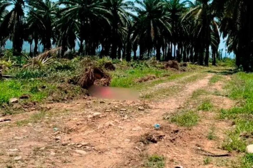 Masacre en Honduras