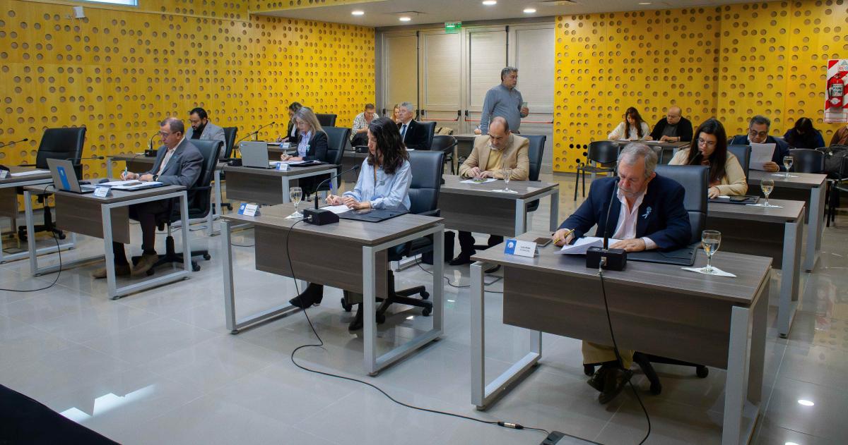 El tema fue tratado en la séptima sesión ordinaria del año