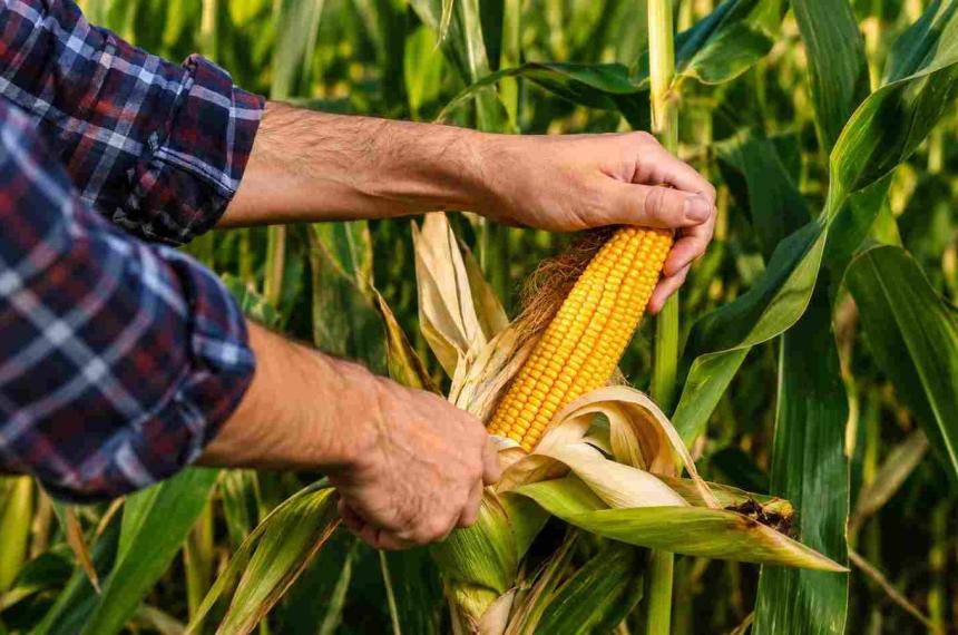 Un productor agropecuario es ante todo el gerente general de una empresa familiar