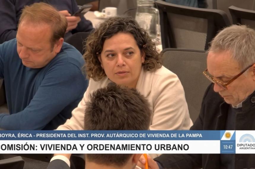 La titular del IPAV Erica Riboyra expuso en la Comisión de Vivienda de la C�mara de Diputados de la Nación