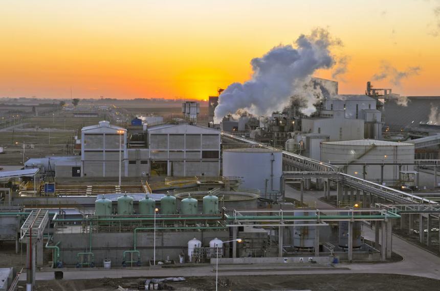 La industria aceitera est� logrando molturar el volumen de girasol m�s abultado desde el año 2000 y podría ir por m�s en 2026