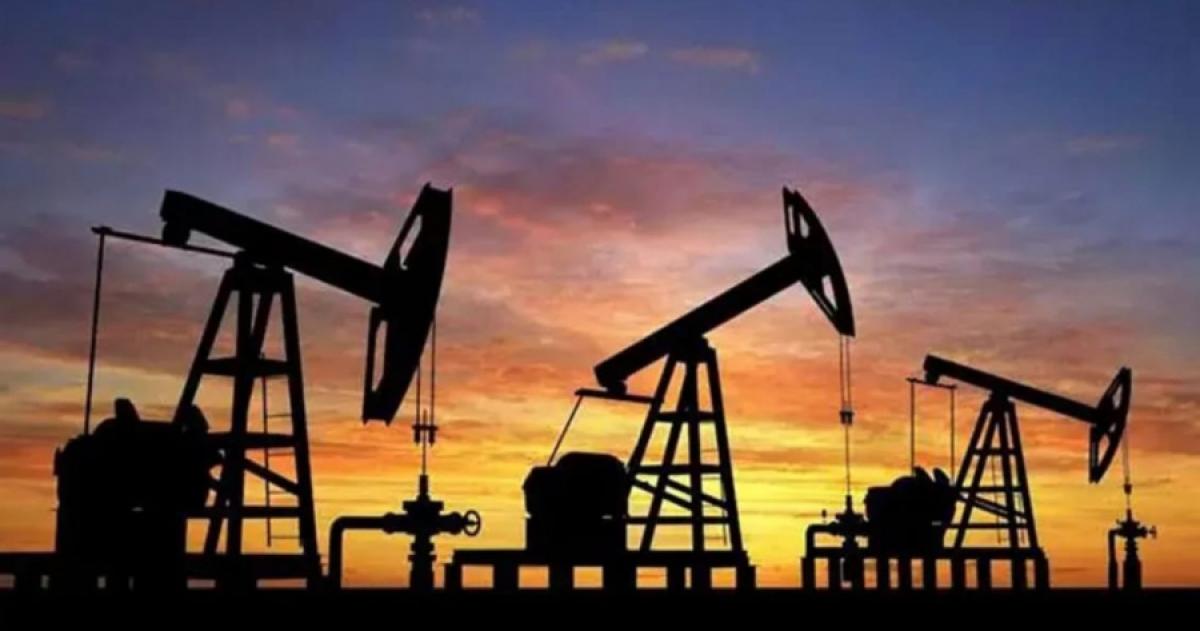 El �rea Medanito sometida a una transición bajo la batuta de Pampetrol