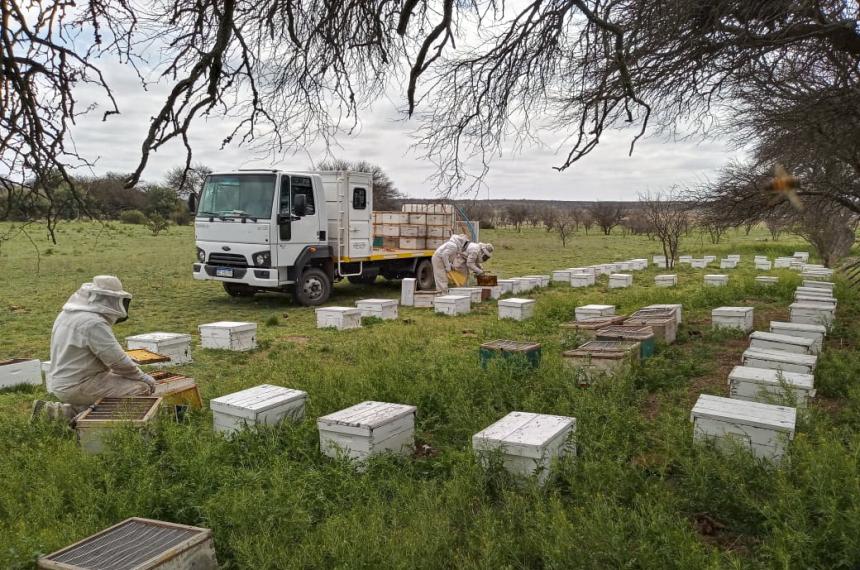 El Ministerio de Producción lanzó una línea de créditos para productores apícolas