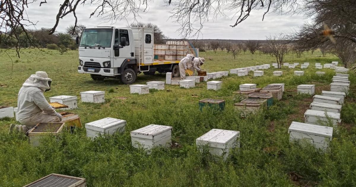 El Ministerio de Producción lanzó una línea de créditos para productores apícolas