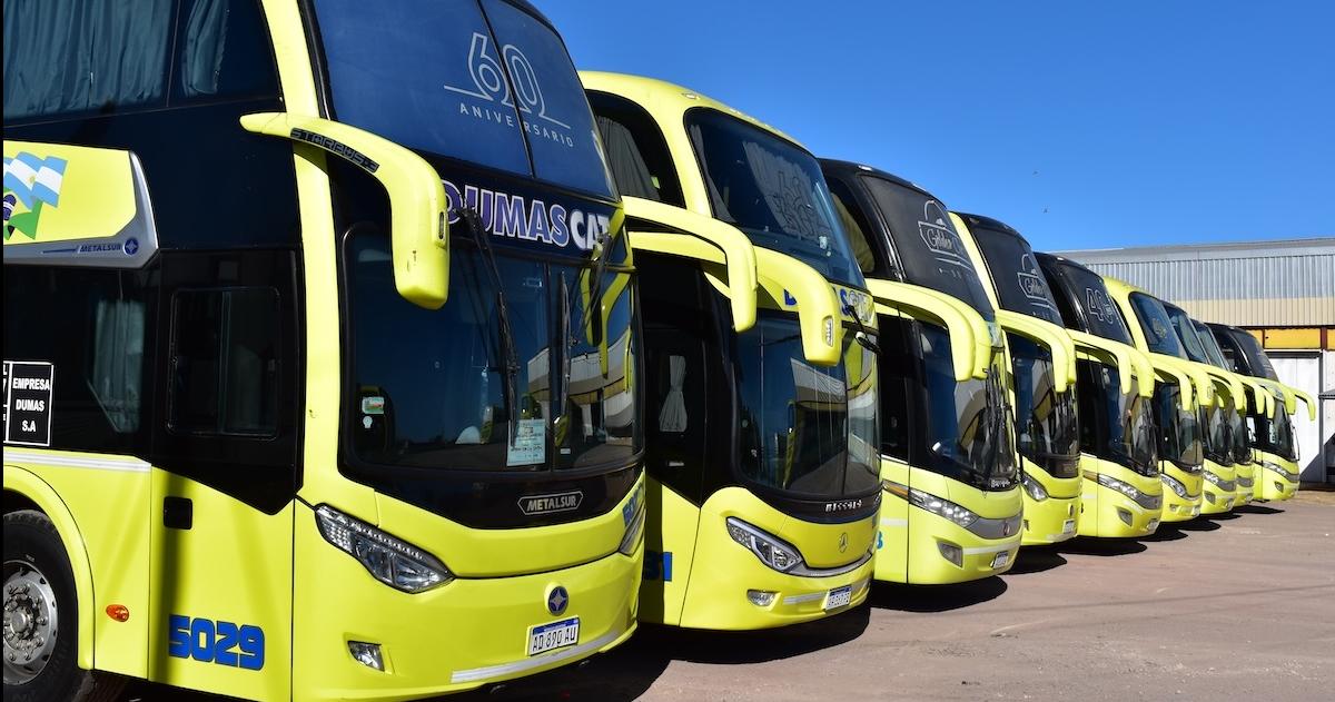 La empresa de transporte de pasajero Dumascat deber� acatar el fallo del STJ