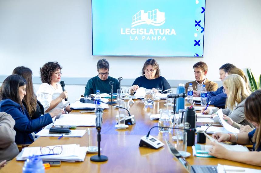 El encuentro en la comisión que preside Liliana Robledo