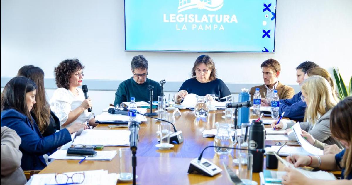 El encuentro en la comisión que preside Liliana Robledo