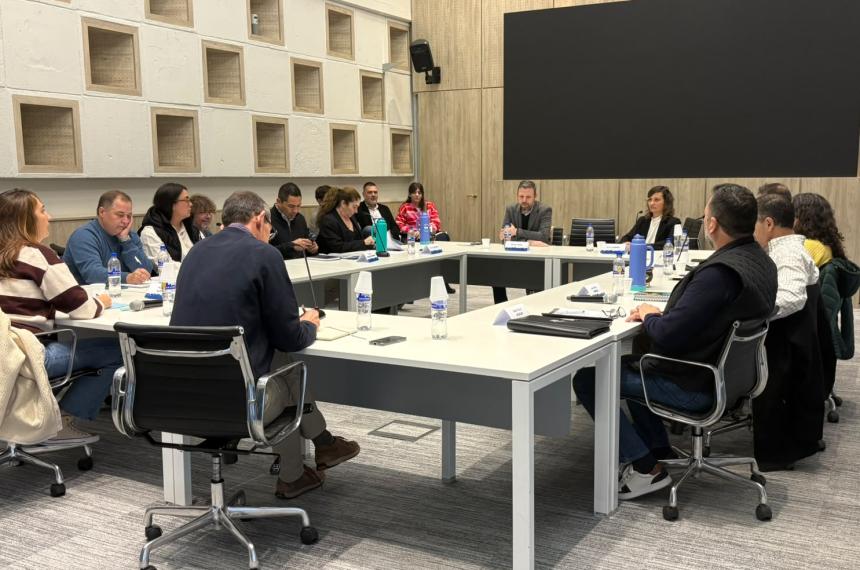 La reunión de la comisión por El Medanito se reunió este viernes