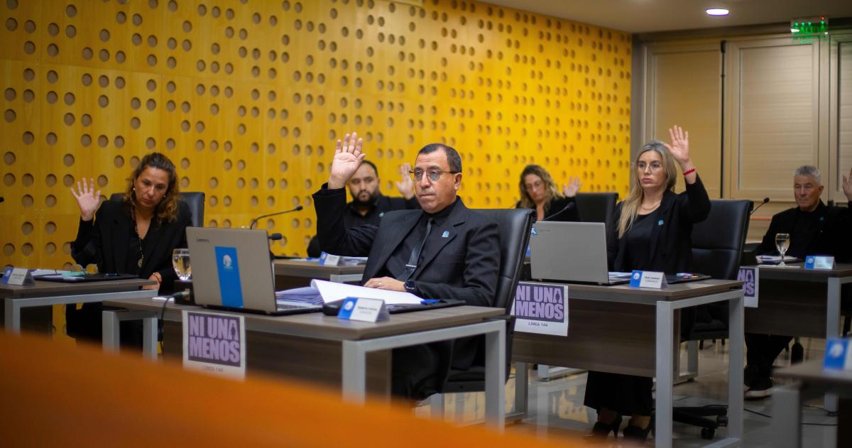 El cuerpo legislativo piquense sesionó y votó