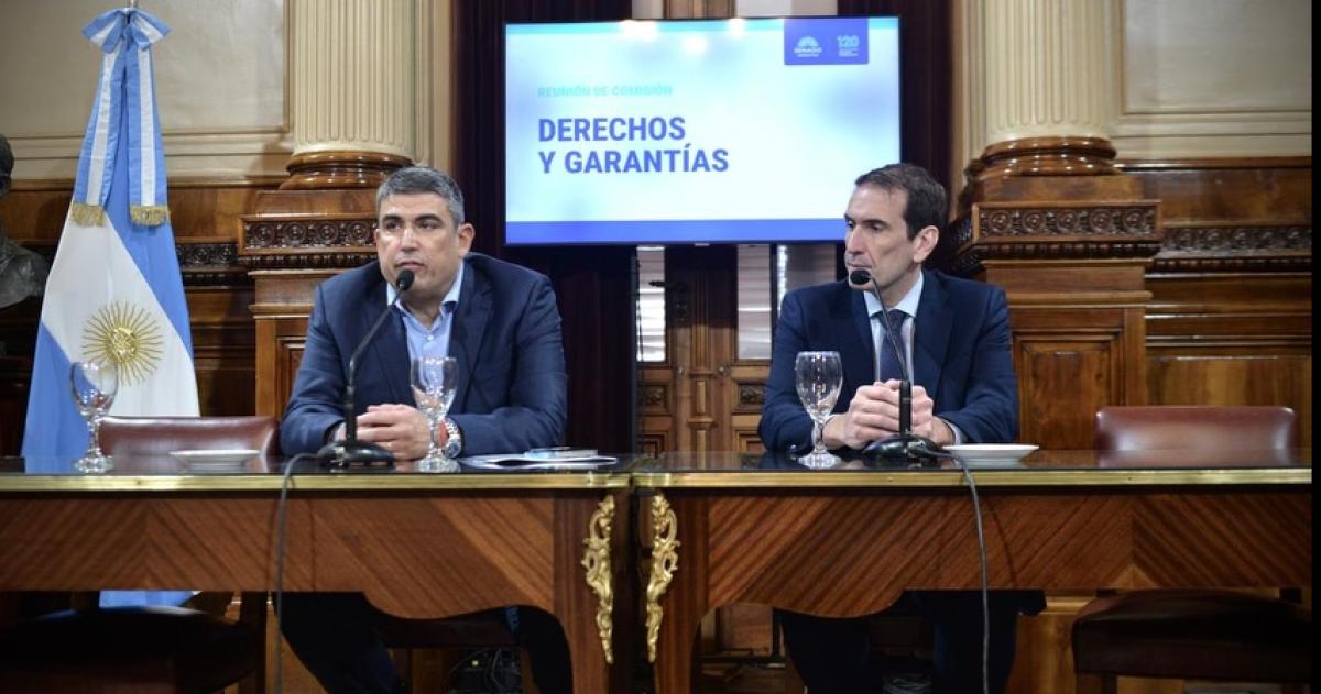 Bensusan presidir� una Comisión del Senado