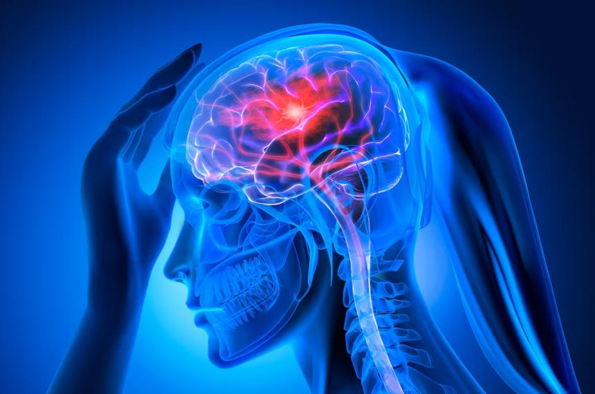 La menopausia precoz reduce la protección hormonal natural del organismo y puede aumentar significativamente el riesgo de enfermedades cardiovasculares seg�n una de las investigaciones m�s extensas realizadas a nivel mundial