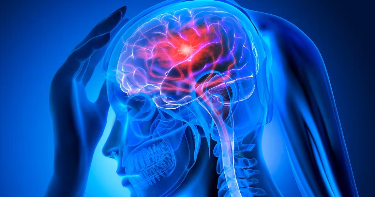 La menopausia precoz reduce la protección hormonal natural del organismo y puede aumentar significativamente el riesgo de enfermedades cardiovasculares seg�n una de las investigaciones m�s extensas realizadas a nivel mundial
